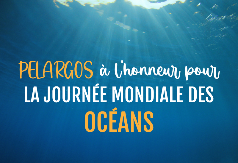 Journée mondiale des océans x PELARGOS