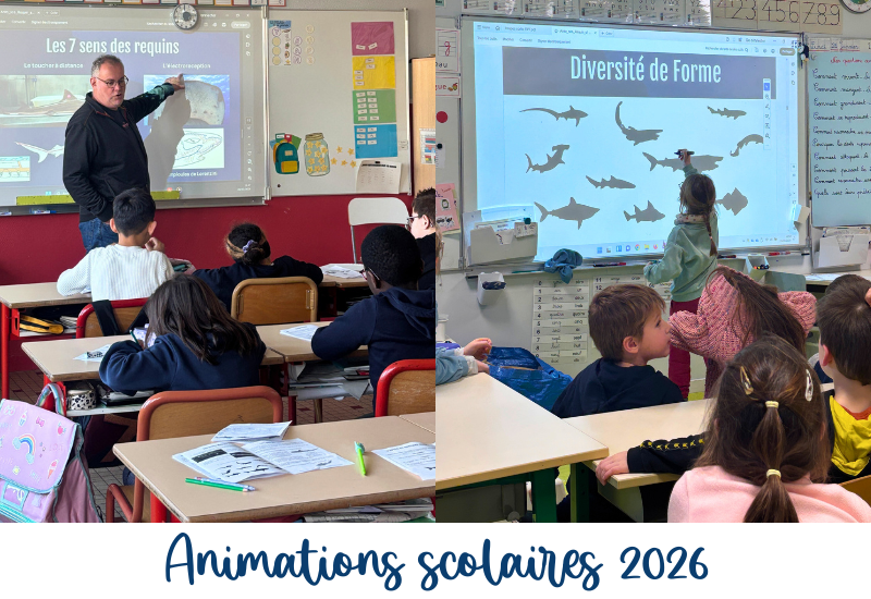 Bilan des animations scolaires 2026