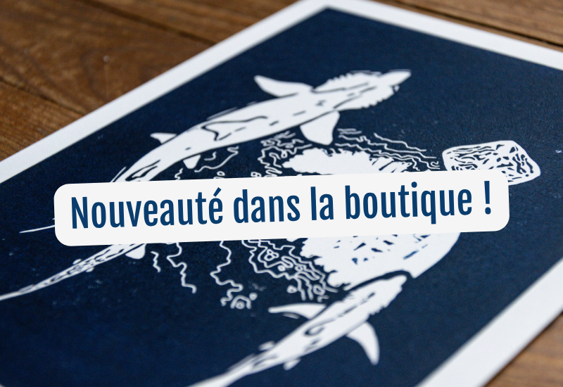 Une magnifique linogravure arrive dans notre boutique en ligne !