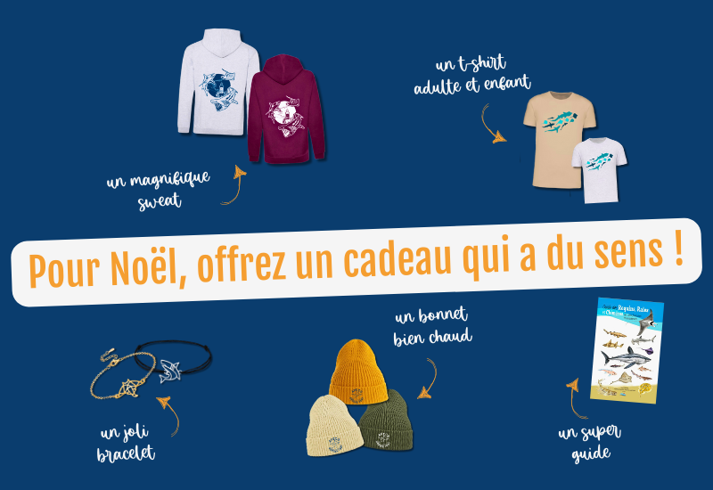 Offrez un cadeau qui a du sens !