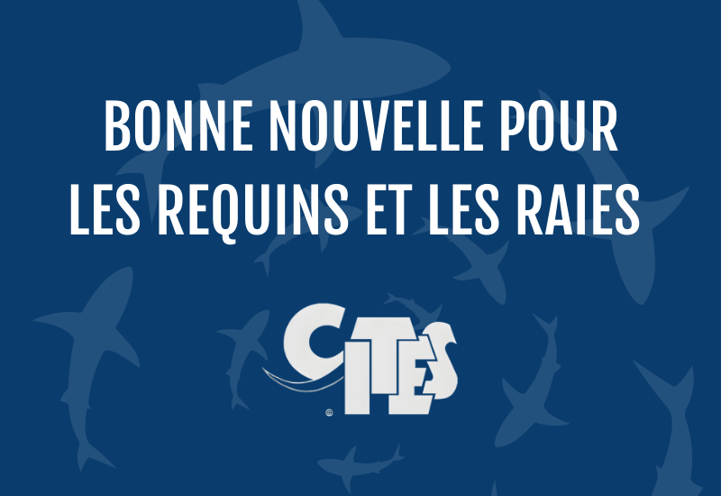 CITES
