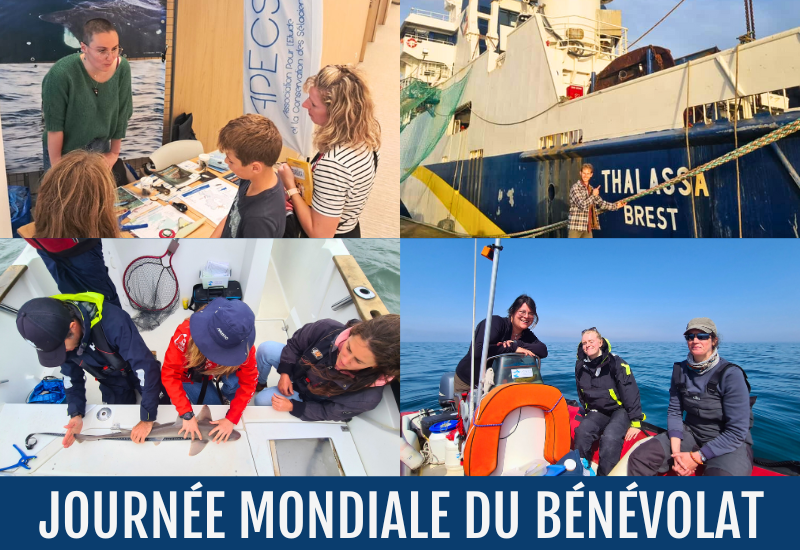 Journée mondiale du bénévolat : merci à la team APECS